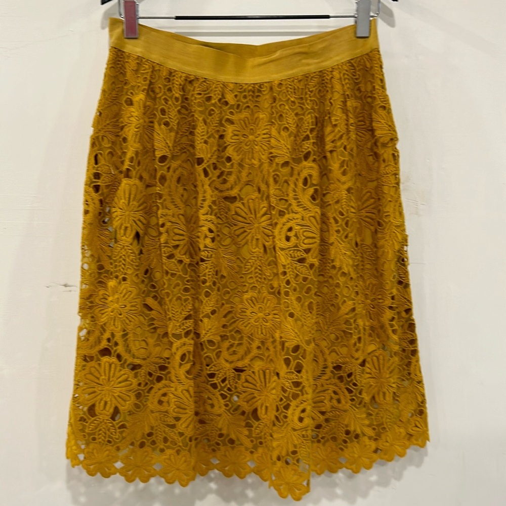 Lace full skirt